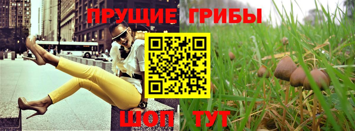 Кубинка  Галлюциногенные грибы MAGIC MUSHROOMS  наркошоп  Вход с VPN 